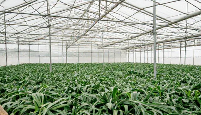 住宅精装修服务中的选型关注点与施工流程